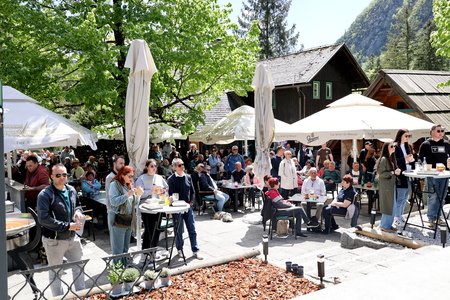 Praznovanje 1. maja (50)